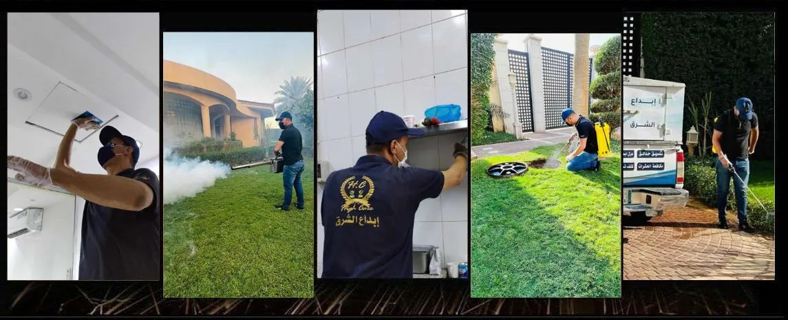 مكافحة حشرات